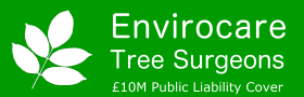 Envirocare Tree Surgeons